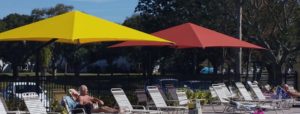 Standard and cantilevered shade umbrellas