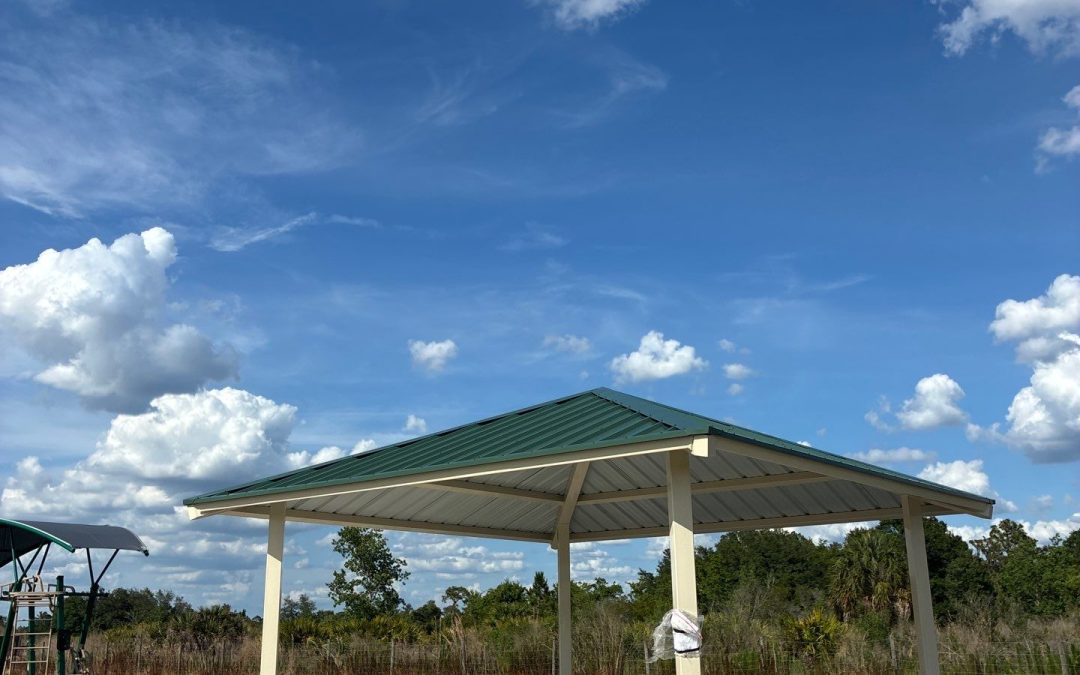 Enhancing Outdoor Spaces at FishHawk Nature Preserve